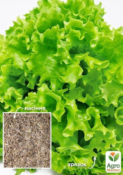 На развес Салат "Бутербродный" ТМ "Весна" цена за 7г