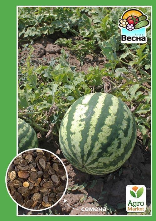 Арбуз "Таврийский" ТМ "Весна" 1.5г