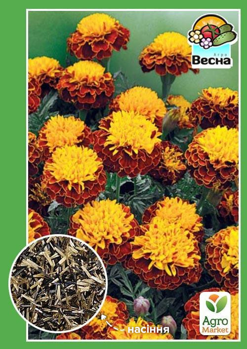 Чорнобривці "Ред Марієтта" ТМ "Весна" 0.3г