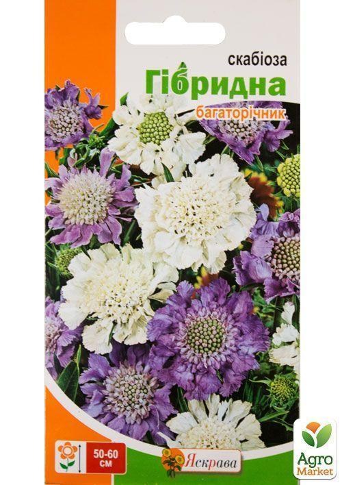 Скабиоза "Гибридная многолетняя" ТМ "Яскрава" 0.1г