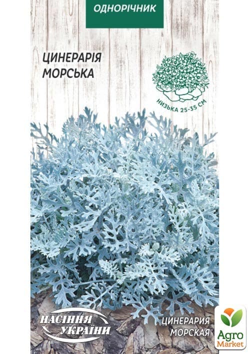 Цинерария "Морская" ТМ "Семена Украины" 0.1г