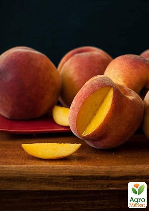 Персик "Пламенный" - фото 4