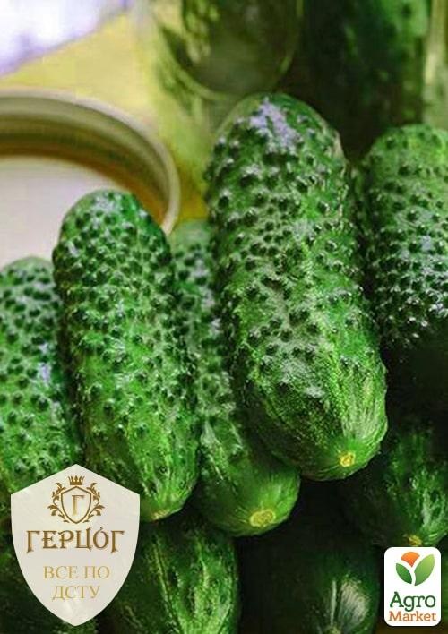 Огурец "Герцог" обработанный "Цезарь F1" ТМ "Весна" 0.5г