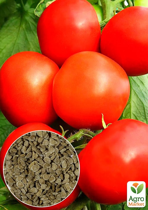 Томат "Джина" (Зипер) ТМ "Весна" 0.5г