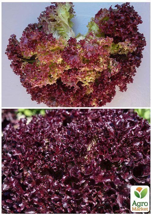 На вагу Салат "Фонтан" ТМ "Весна" ціна за 3г - фото 4