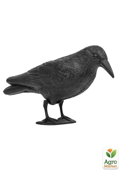 Відлякувач птахів "Ворон",  Bradas CTRL-BR101