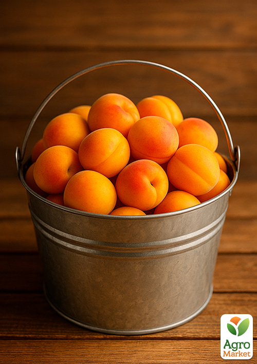 Абрикос "Лескоре" (великоплідний, врожайний, раннього терміну дозрівання) - фото 4