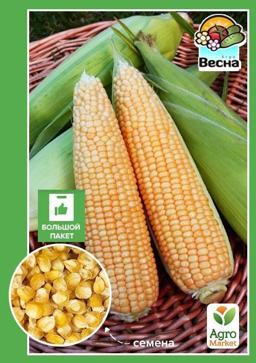 Кукурудза "Брусниця" (Великий пакет) ТМ "Весна" 15г