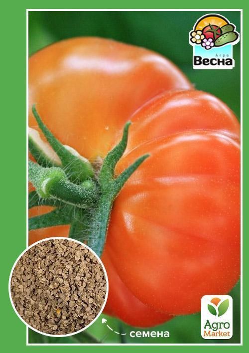 Томат "Царский подарок" (Новый пакет) ТМ "Весна" 0.1г