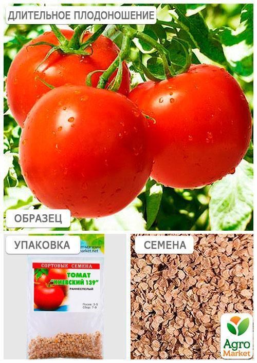 Томат "Київський 139" (Зипер) ТМ "Весна" 1г - фото 4