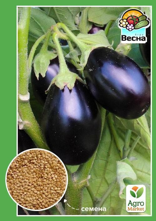Баклажан "Черный красавец" ТМ "Весна" 0.2г