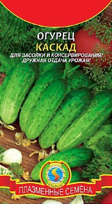 Огурец "Каскад F1" ТМ "Плазменные семена" 12шт