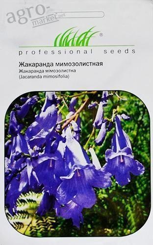 Жакаранда мімозолистна ТМ "HEM Zaden" 0.8г