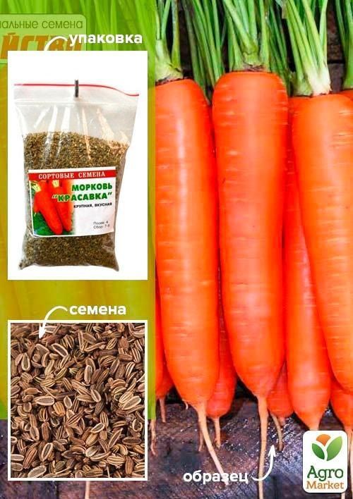 Морковь "Красавка" ТМ "Весна" 100г
