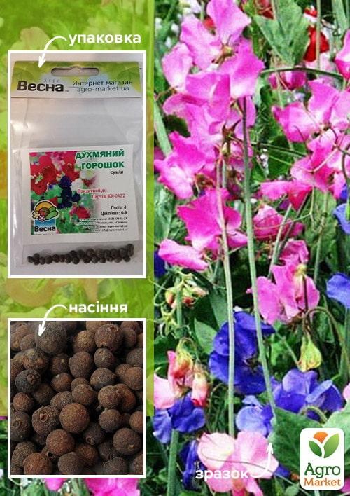 Духмяний горошок суміш (Зипер) ТМ "Весна" 1,5г - фото 2