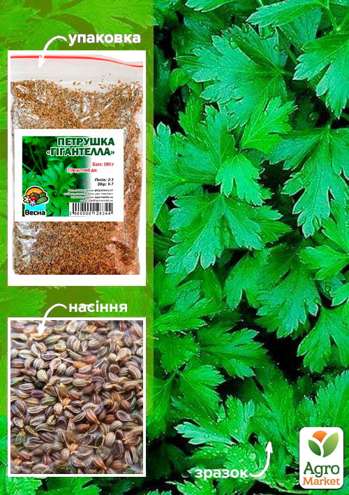 Петрушка "Гигантелла" ТМ "Весна" 100г