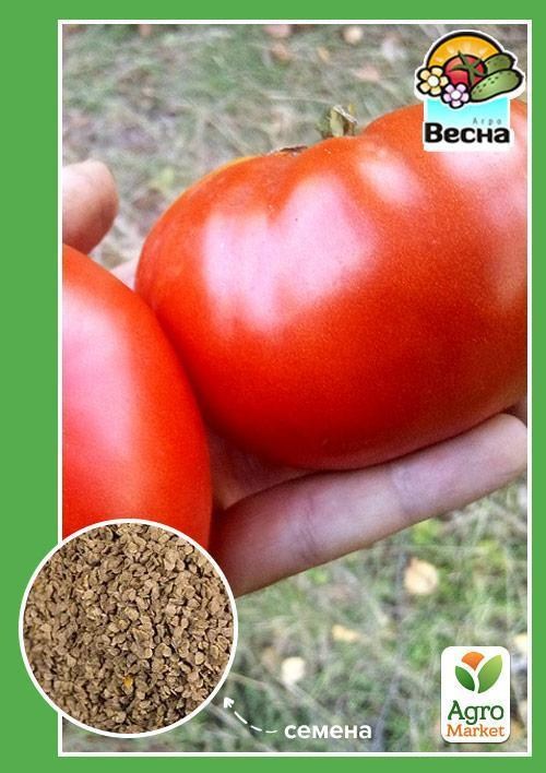 Томат "Нота" ТМ "Весна" 0.2г