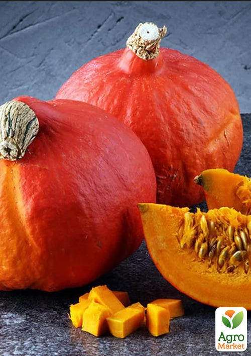 Гарбуз "Хоккайдо" (Зіпер) ТМ "Весна" 5г