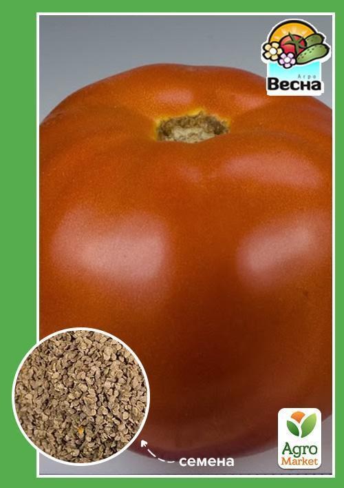 Томат "Аврора F1" ТМ "Весна" 0.1г