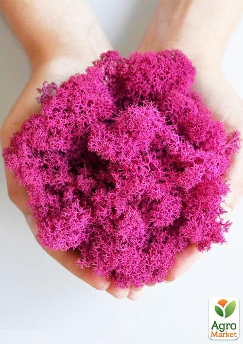 Норвезький мох стабілізований "Фуксія" 150 г - фото 2