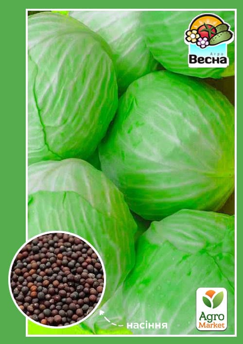 Капуста "Украинская Осень" ТМ "Весна" 0.5г