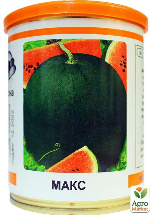 Арбуз "Макс" (в банке) ТМ "Весна" 100г
