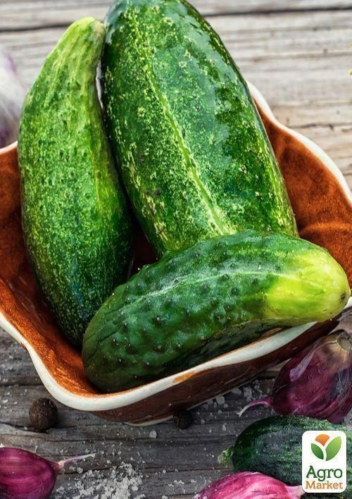 Огірок оброблений "Полонез" (Зипер) ТМ "Весна" 0.5г - фото 2