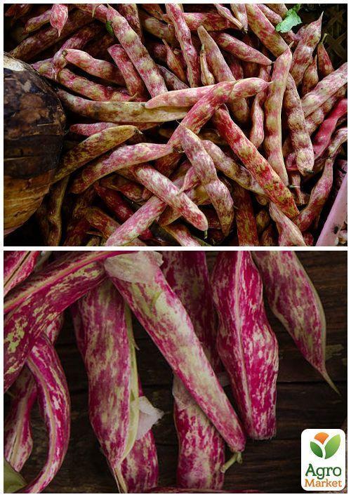 На вагу Квасоля "Мармурова" ТМ "Весна" ціна за 20г - фото 3