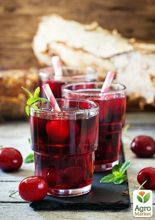 Ексклюзив! Вишня темно-червона "Полум'я любові" (Love flame) (преміальний високоврожайний сорт) - фото 4