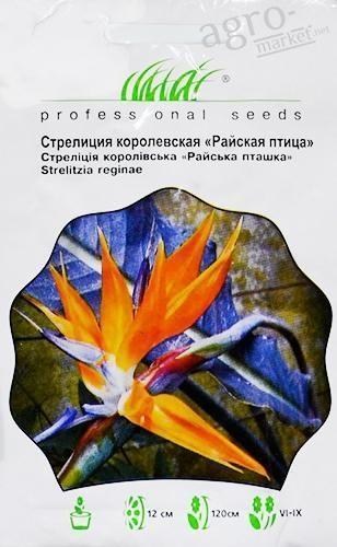 Стрелиция королевская "Райская птица" ТМ "HEM Zaden" 3шт