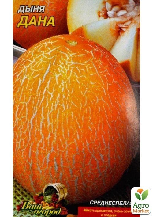 Диня "Дана" ТМ "Весна" 1.5г - фото 2