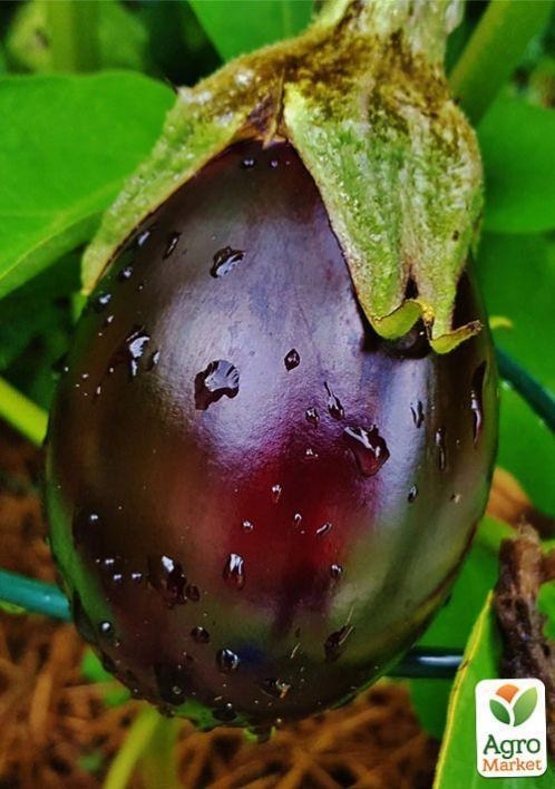 Баклажан "Виолетта" ТМ "Vesna Select" 20шт - фото 3