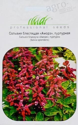 Сальвия "Аморэ" ТМ "Hem Zaden" 20шт