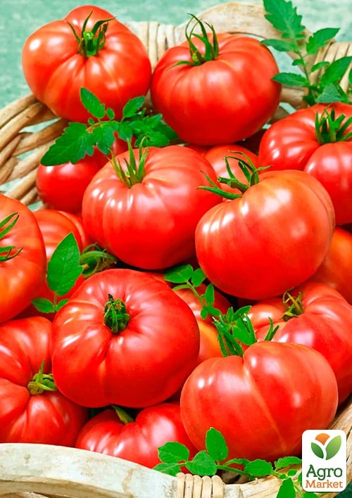 На развес Томат "Магнум" ТМ "Весна" цена за 1г - фото 2