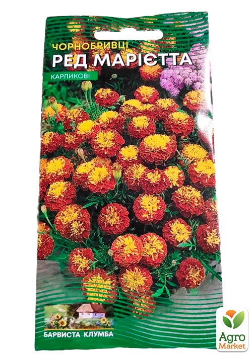 Чорнобривці "Ред Марієтта" ТМ "Весна" 0.3г - фото 2