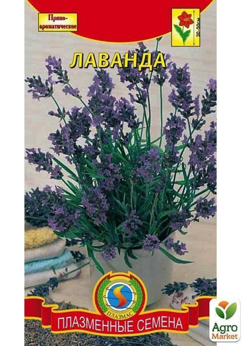 Лаванда ТМ "Плазменные семена" 0,1г