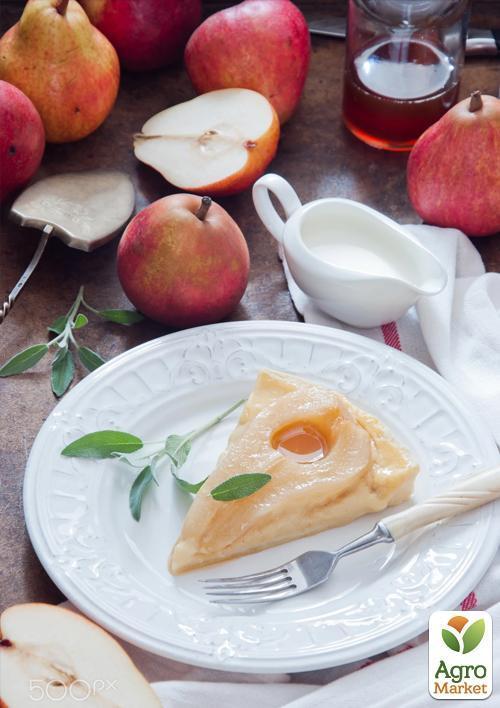 Груша "Осень Буковины" (осенний сорт, средний срок созревания) - фото 7