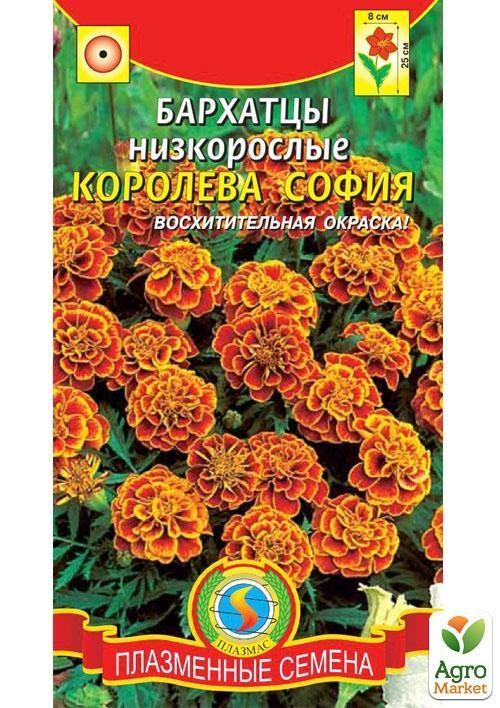 Чорнобривці низькорослі "Королева Софія" ТМ "Плазмові насіння" 45шт