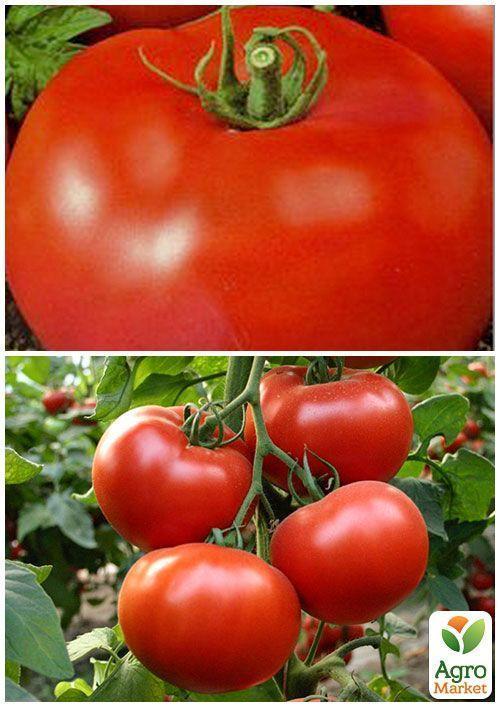 На вагу Томат "Червоний гігант" ТМ "Весна" ціна за 1г - фото 2