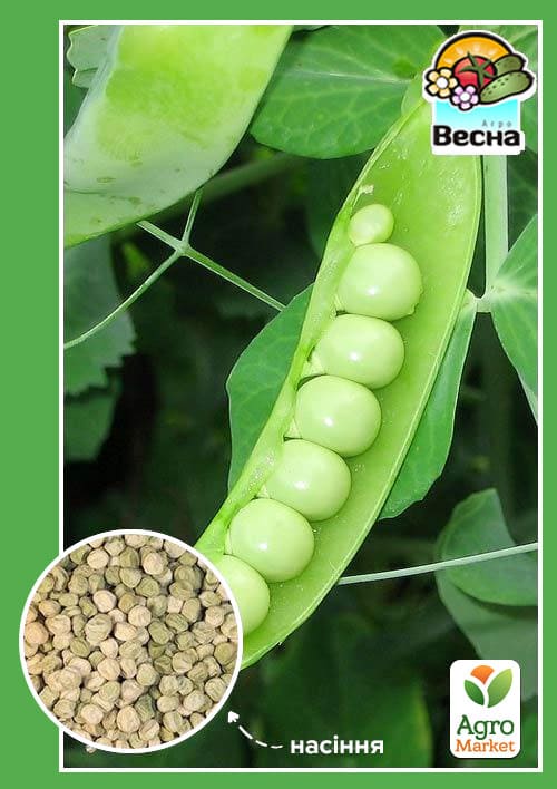 Горох "Дитячий солодкий" (Новий пакет) ТМ "Весна" 10г