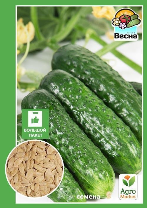 Огірок "Хрустик F1" (Великий пакет) ТМ "Весна" 1.5г