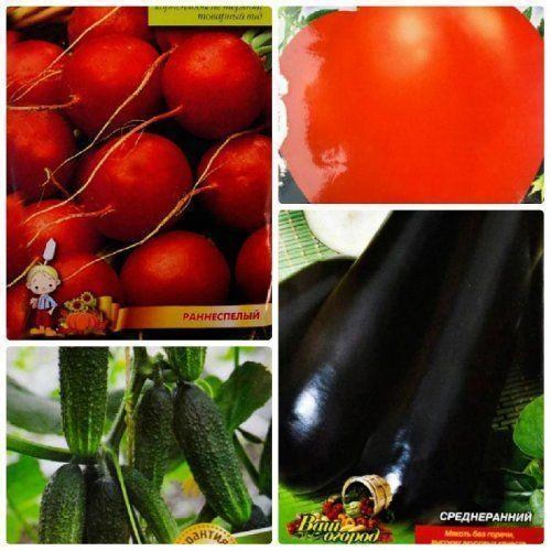 Комплект насіння овочів "Фантастична п'ятірка" 10уп