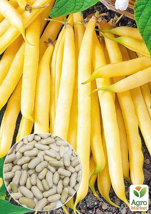 На развес Фасоль "Сонестина" ТМ "Весна" цена за 15г