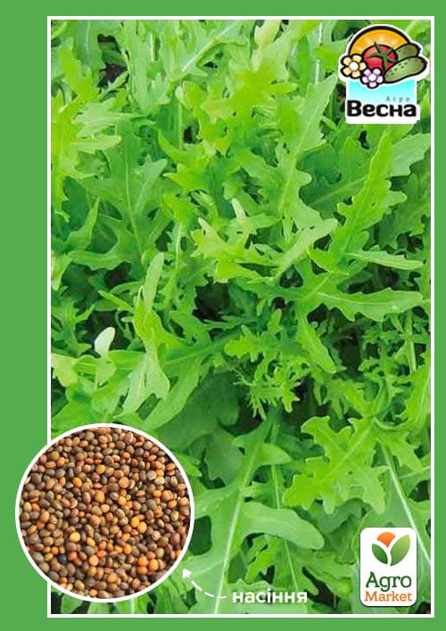 Руккола ТМ "Весна" 1г