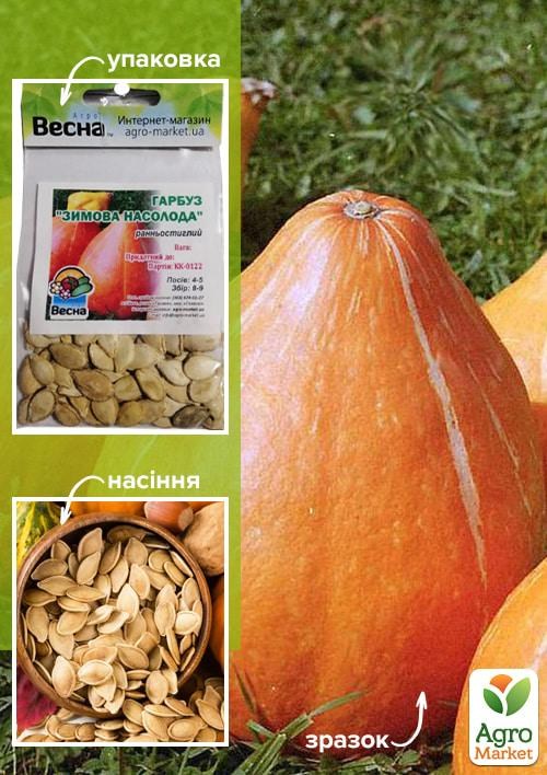 Тыква "Зимняя сладость" (Зипер) ТМ "Весна" 8г