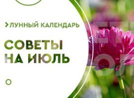 Місячний календар городника на липень 2021 - корисні статті про садівництво від Agro-Market