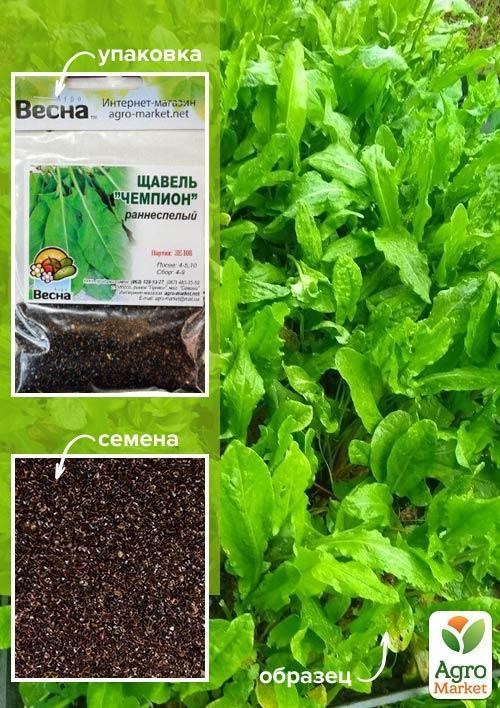 Щавель "Чемпион" (Зипер) ТМ "Весна" 1г