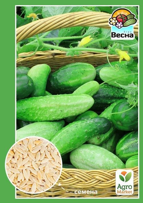 Огірок "Малюк" ТМ "Весна" 0.5г