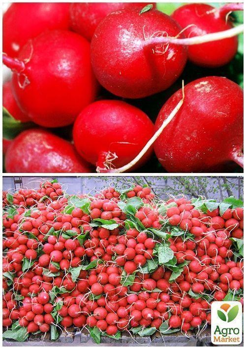 На вагу Редис "Рубін" ТМ "Весна" ціна за 10г - фото 3
