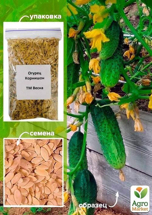 Огірок "Корнішон" ТМ "Весна" 100г